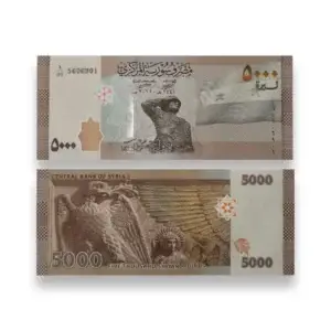 Fifty Million Uncirculated 5000 5K Syrian Pound Denomination - 10000 Bills UNC 5K Syrian Lira
